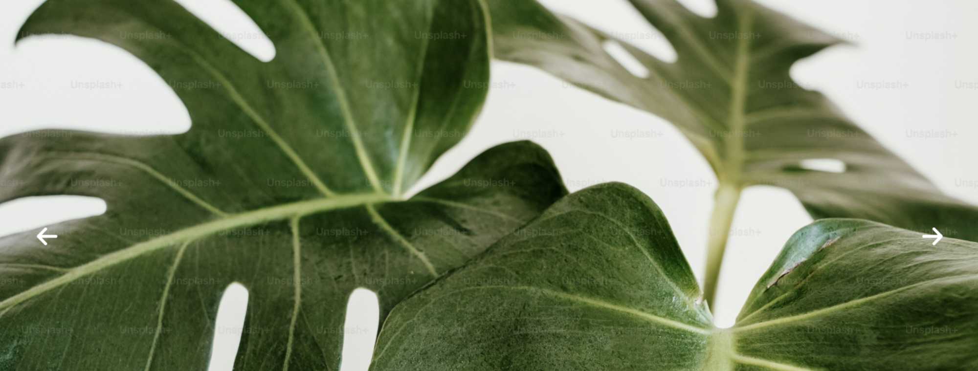 Entrada nueva junta 22 Febrero